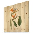 thumbnail image 2 of Designart 'Ancient Strelitzia Flowers' Traditional Print on Natural Pine Wood, 2 of 5
