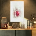 thumbnail image 1 of White Rose with Pink Petals - Large Floral Canvas Artwork, 1 of 3