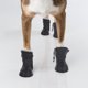 thumbnail image 4 of BRIGHTFUFU 4Ud Impermeables Para Perros Con Protección Para Patas En Días De Lluvia, 4 of 6