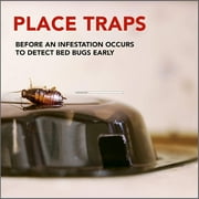 Raid Bed Bug Detector, 8 ct