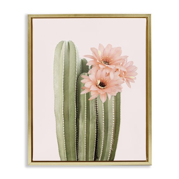 Stupell Industries Bohemian Pink Flower on Cactus Gold Floating Frame Canvas Art, 25 x 31, by Sisi and Seb