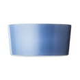 thumbnail image 3 of Vibrant Life Medium Two Tone Ceramic Pet Bowl, Blue and Beige, Dog, 3 of 5