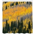 thumbnail image 3 of Ambesonne Fall Shower Curtain, Colorful Aspen Trees USA, 69"Wx75"L, Green Yellow Grey, 3 of 3