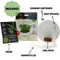 thumbnail image 3 of Kit de cultivo Microgreens Mountain Valley Pea Shoots Organic, 3 of 7