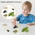 thumbnail image 1 of DPTALR 5 Piece Insect Figure Animal Life Cycle Plastic Brood To Mature Period, 1 of 7
