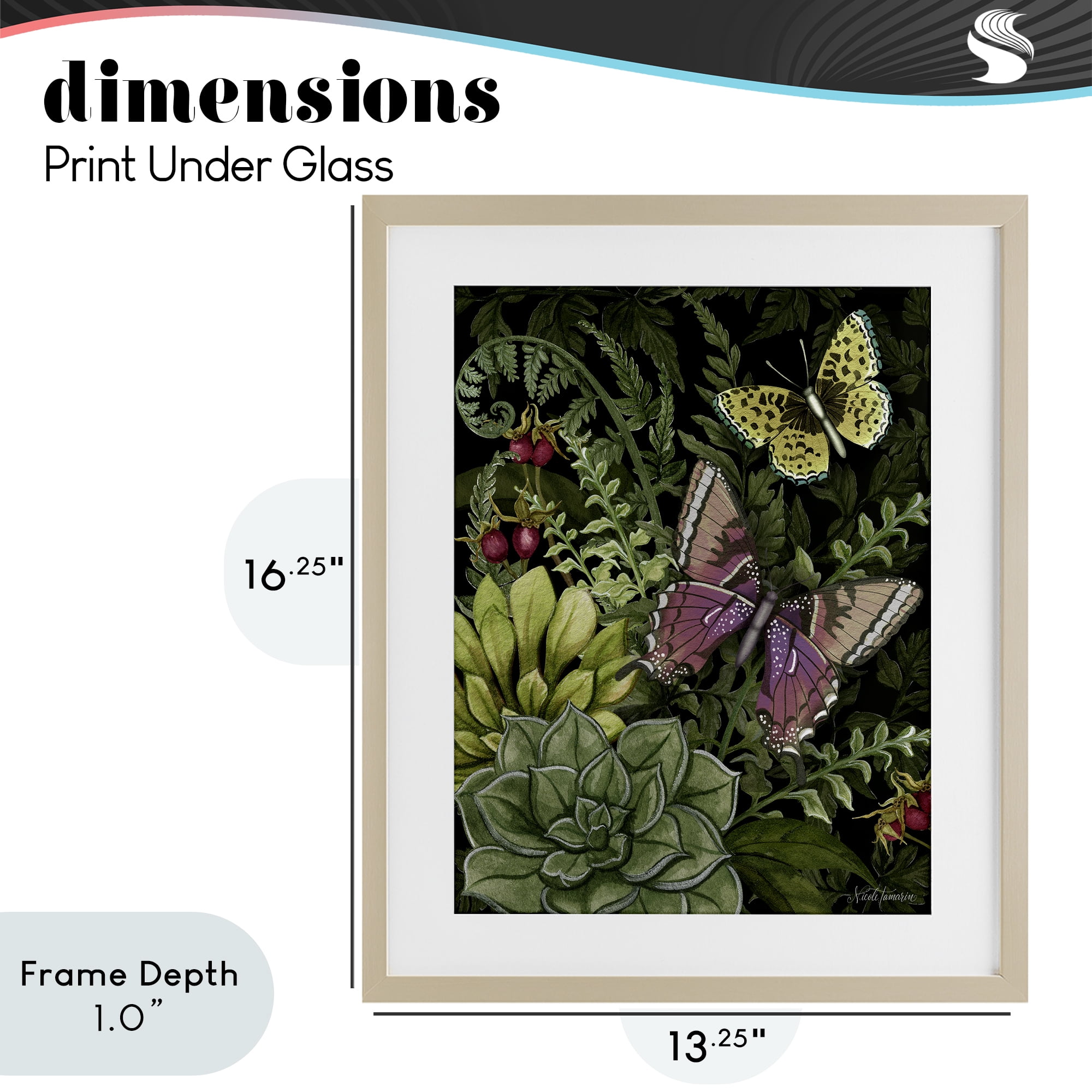 Stupell Industries Dark Succulents Midnight Garden Birch Framed Print Under Glass, design by Nicole Tamarin