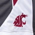 thumbnail image 3 of Men's Colosseum Charcoal Washington State Cougars Turnover Team Shorts, 3 of 3