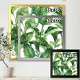 thumbnail image 4 of Designart 'Foliage Of Tropical Leaves On White' Tropical Framed Art Print, 4 of 4