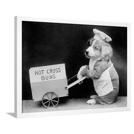 Dog Hot Cross Bun Seller Framed Print Wall Art