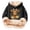 GY2, variant on Rggeeun Girls Hoodie Soft Lined Fluffy Cow Pullover With Cute Striped Bow Print Warm Winter Kid Casual Relaxed Fit Beige,13-14 Years,Long Sleeve