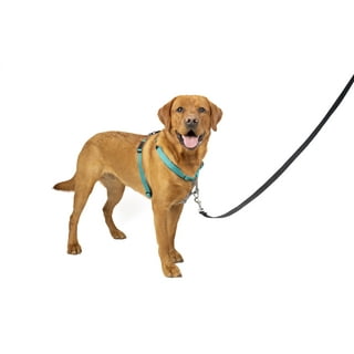 AUROTH Best Tracking & Training Harnesses for Large Dogs, Quality K9 Gear –  aurothpets