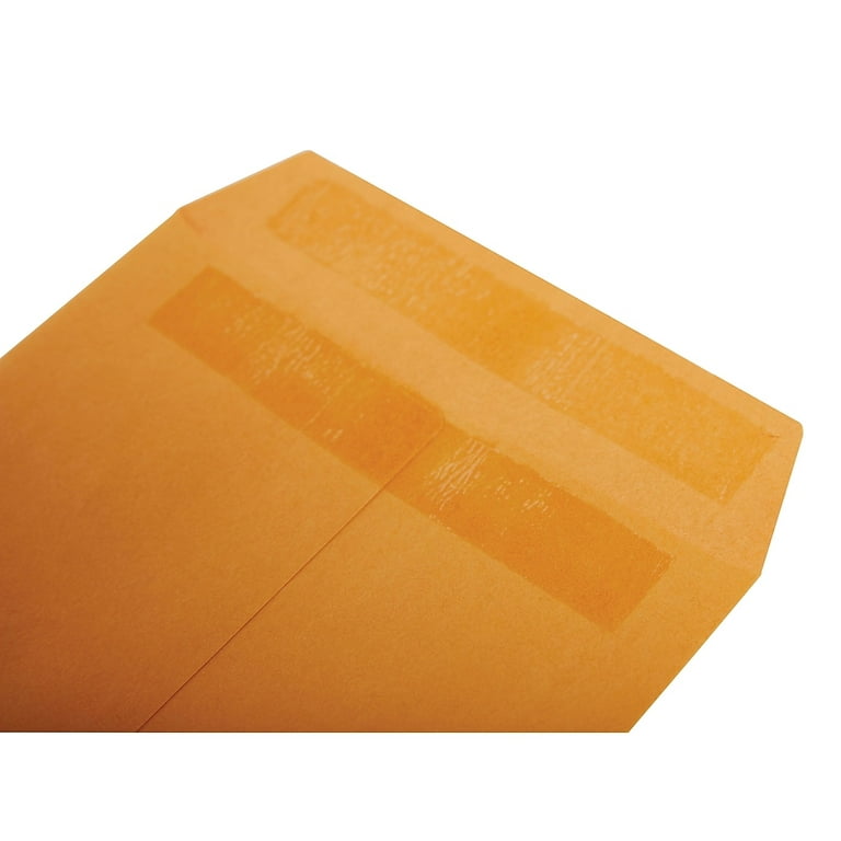 Basics Catalog Envelopes, Peel & Seal, 6 x 9 Inch, Brown