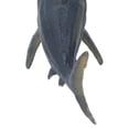 thumbnail image 3 of Modelo de tiburón de simulación, modelo de Helicoprion educativo realista y vívido, juguete de Animal marino para mayores de 3 años, 3 of 8