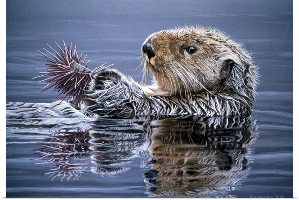 12"x18"Sea otter HD Canvas prints Painting Home Room Decor Wall art poster 