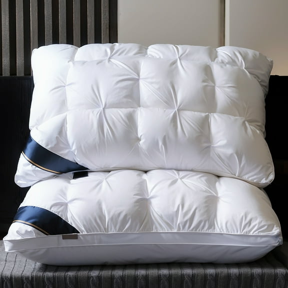 2 PCS High-Density Luxury Pillow