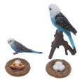 thumbnail image 1 of 4 Pcs Budgerigar Growth Cycle Toy PVC Budgie Figurine Educational Animal Life Cycle Toy for Children, 1 of 4