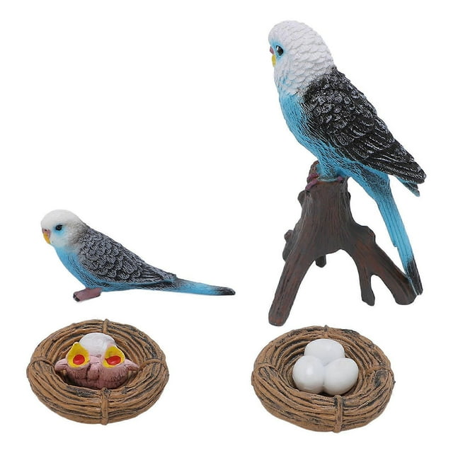 4 Pcs Budgerigar Growth Cycle Toy PVC Budgie Figurine Educational Animal Life Cycle Toy for Children