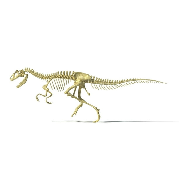 allosaurus skeleton for sale