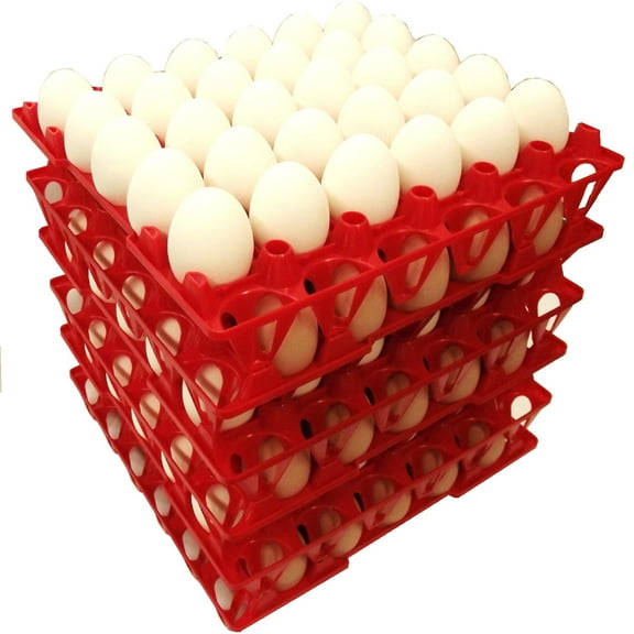 96 RITE FARM PRODUCTS 30 EGG POLY CHICKEN TRAYS SHIPPING CARTON POULTRY FLAT