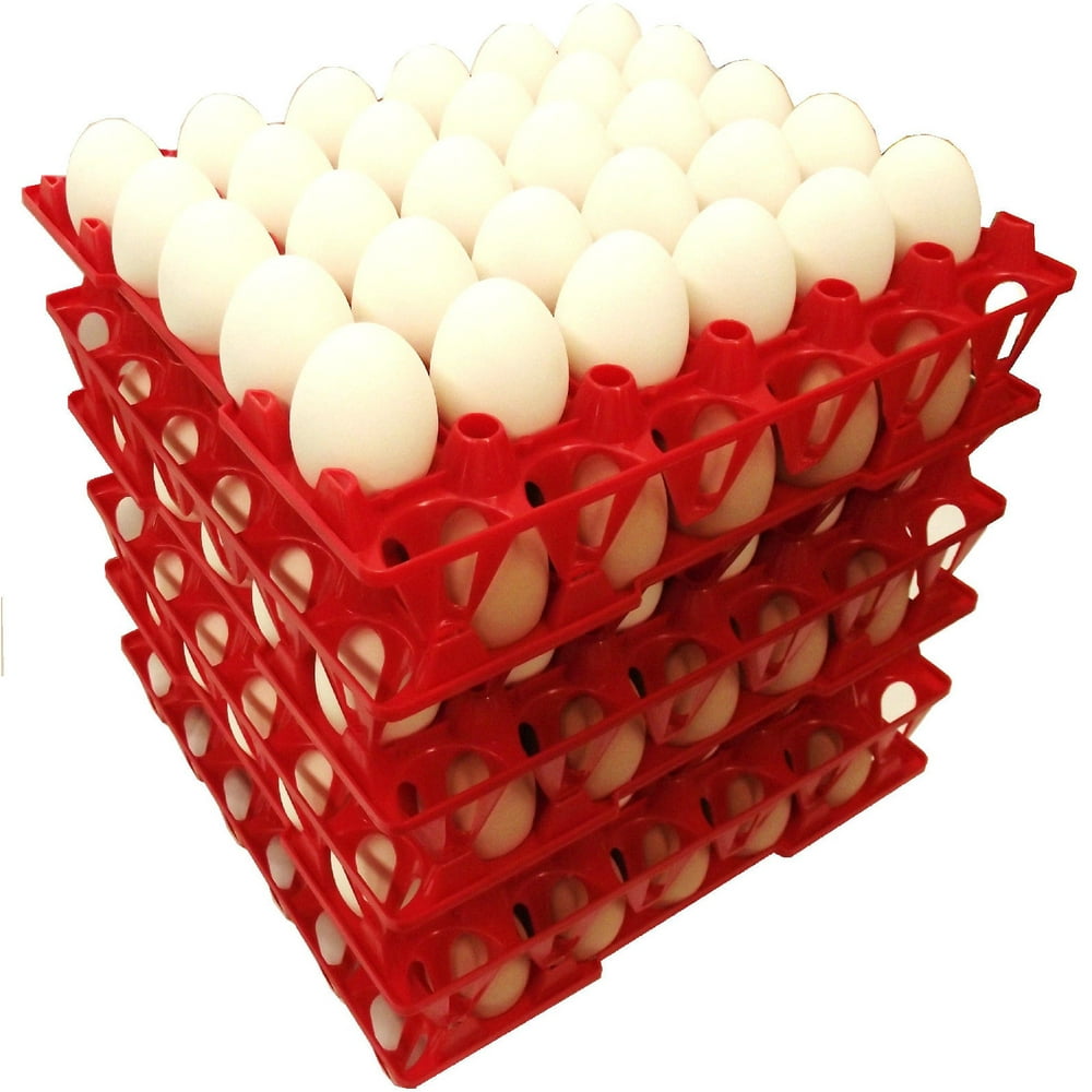 96 RITE FARM PRODUCTS 30 EGG POLY CHICKEN TRAYS SHIPPING CARTON POULTRY