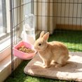 thumbnail image 5 of Hanging Automatic Water Feeder Food Bowl Set for Rabbits Cats Small Pet Cage Mount Drinking Eating No Spill Detachable Bowl Supplies, 5 of 6