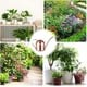 thumbnail image 5 of Macetas de acero inoxidable con boca larga para cultivar flores y verduras, suculentas, plantas en maceta, riego por aspersión, maceta de riego, oro rosa, 500 ml, 5 of 5