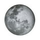 thumbnail image 1 of Rompecabezas De Luna Redonda De 1000 Piezas, Rompecabezas De Luna Llena Grande, Juego De Descompresión, Juguetes, Herramienta Educativa Para Adolescentes Entusiastas De La Astronomía Minnieouse FN002802-00, 1 of 5