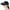 Black, variant on Cheers.US Sun Hats for Women Wide Brim Sun Hat Packable UV Protection Visor Floppy Womens Beach Cap