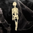 thumbnail image 2 of Halloween Decor - Desktop Dress Up - Prank Scary Skeleton Human Skeleton - Children Educational Toys Whole Body Scary Skeleton Model Toy, 2 of 3