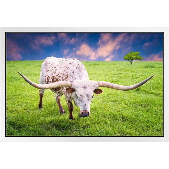 Longhorn Wall Decor