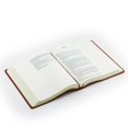 thumbnail image 5 of KJV Large Print Notetaking Bible : Vienna Theme, 5 of 5