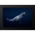 thumbnail image 2 of Gabriel, Barathieu 24x17 Black Modern Framed Museum Art Print Titled - Humpback Whale, 2 of 5