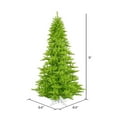 thumbnail image 2 of Vickerman 9' Lime Fir Artificial Christmas Tree, Lime  Dura-lit LED Lights, 2 of 2