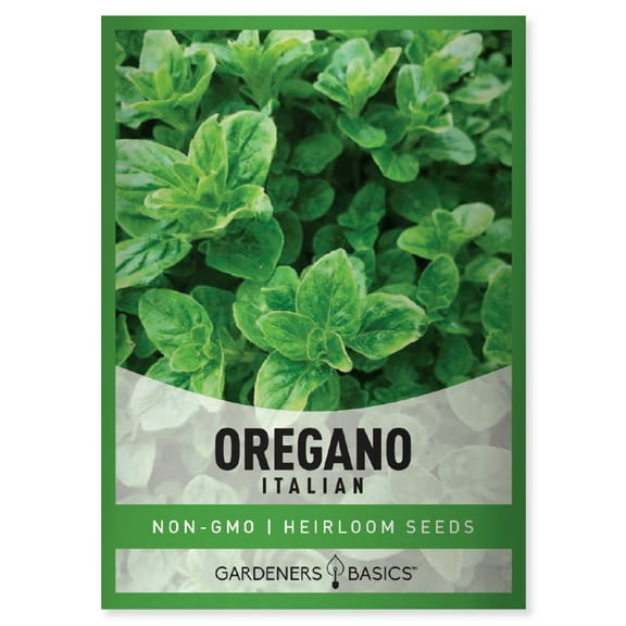 Italian Oregano Seeds