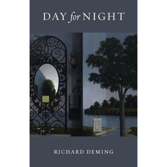 Day for Night (Paperback)