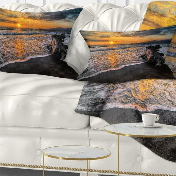 Designart Log on Beach During Sunset - Seashore Throw Pillow - 12x20