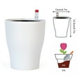 thumbnail image 2 of Self Watering Planter 5.7inch Mini Flower Plant Pot With Water Level Indicator For Garden Home Decor, 2 of 10