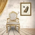 thumbnail image 3 of Audubon, John James 12x14 Gold Ornate Wood Framed with Double Matting Museum Art Print Titled - Pl. 27 Red-headed Woodpecker, 3 of 4