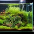 thumbnail image 4 of FOMIYES Adorno De Planta Simulada De Plástico Para Creativa En Acuario, 4 of 6