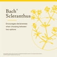 thumbnail image 3 of Esencia floral Bach Original Scleranthus, 20 ml, vegana, 3 of 6