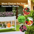 thumbnail image 6 of EasyUp Horticulture Raised Garden Bed Outdoor,Resin Plant Stand for Flowers Vegetables Herbs in Backyard, Patio, Balcony, 6 of 7
