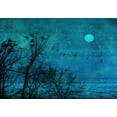 thumbnail image 2 of Devos, Delphine 14x11 Black Ornate Wood Framed with Double Matting Museum Art Print Titled - Birds Of Passage, 2 of 4