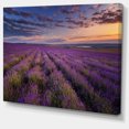 thumbnail image 2 of Champ de Lavande Foncé avec Ciel Nuageux - Impression sur Toile Florale, 2 of 3