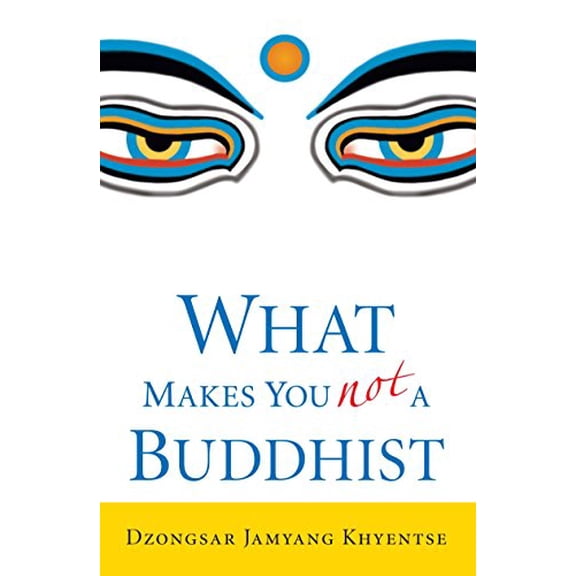 Pre-Owned What Makes You Not a Buddhist (Paperback) 1590305701 9781590305706