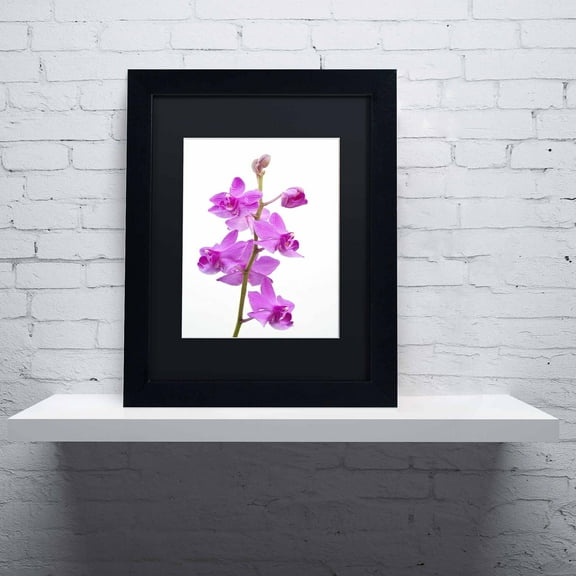 Trademark Fine Art "Purple Orchids" Canvas Art by Kurt Shaffer, Black Matte, Black Frame