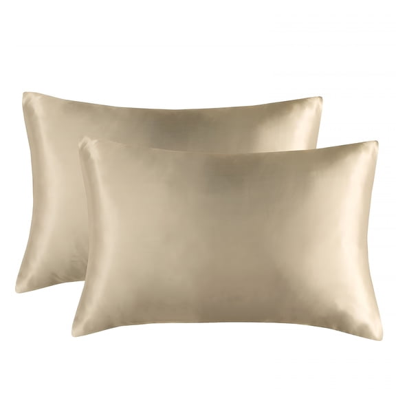 AUQ Silk Pillow Cases 2 Pack Standard Size 20X26 Inches with Hidden Zipper,Ultra Smooth and Soft Breathable Cooling Silk Satin Pillowcase Set of 2,Better for Hair and Skin