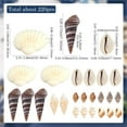 thumbnail image 2 of 1 caja de 8 mini conchas marinas, estrellas de mar pequeñas, conchas marinas de verano de Hawái, conchas marinas de playa, sin agujero, conchas en espiral, pequeñas conchas marinas, 2 of 4