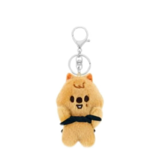 Stray Kids 3.9 Inchs Plush Keychain,SKZ Pilot Cloak Plush Keychain Bag Pendant,STRAY Fan Gifts