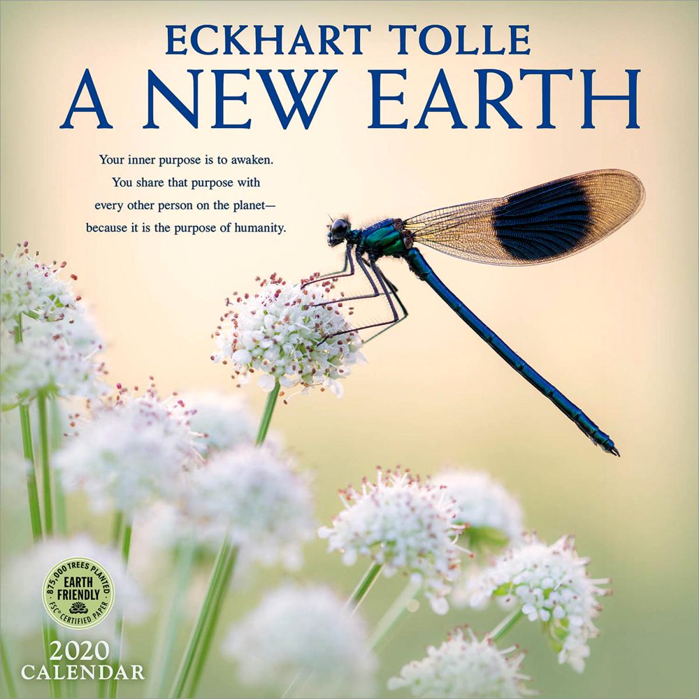 New Earth 2020 Wall Calendar: By Eckhart Tolle (Other) - Walmart.com
