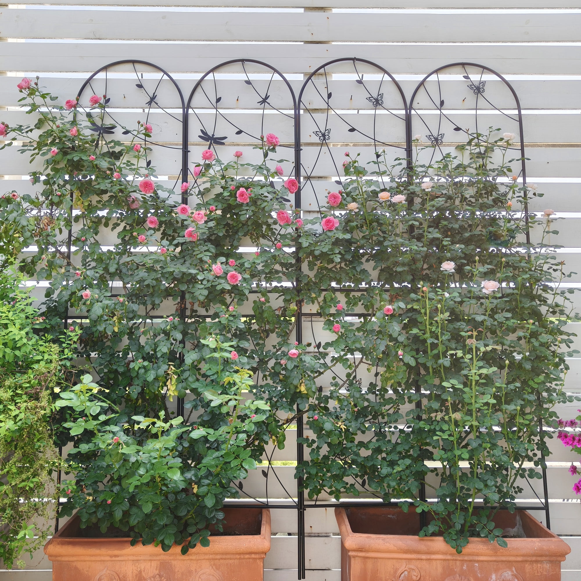 2 Pack Metal Garden Trellis 86.7" x 19.7" Rustproof Trellis for Climbing Plants Outdoor Flower Support Dragonfly Deco Black